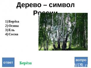 Дерево – символ России вопрос ответ Берёза Осина Ель Сосна Берёза