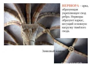 Замковый камень НЕРВЮРА – арка, образующая укрепляющее свод ребро. Нервюры образ