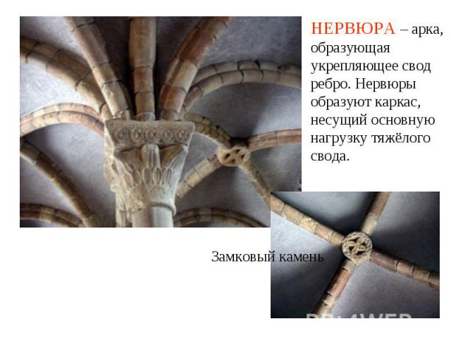 Замковый камень НЕРВЮРА – арка, образующая укрепляющее свод ребро. Нервюры образуют каркас, несущий основную нагрузку тяжёлого свода.