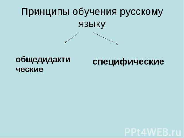 общедидактические специфические Принципы обучения русскому языку