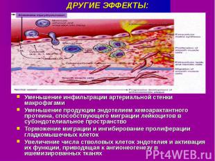 ДРУГИЕ ЭФФЕКТЫ: Уменьшение инфильтрации артериальной стенки макрофагамиУменьшени