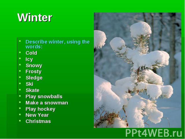 Winter Describe winter, using the words:ColdIcySnowyFrostySledgeSkiSkatePlay snowballsMake a snowmanPlay hockeyNew Year Christmas
