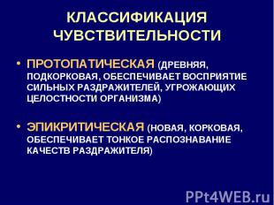 КЛАССИФИКАЦИЯ ЧУВСТВИТЕЛЬНОСТИ ПРОТОПАТИЧЕСКАЯ (ДРЕВНЯЯ, ПОДКОРКОВАЯ, ОБЕСПЕЧИВА