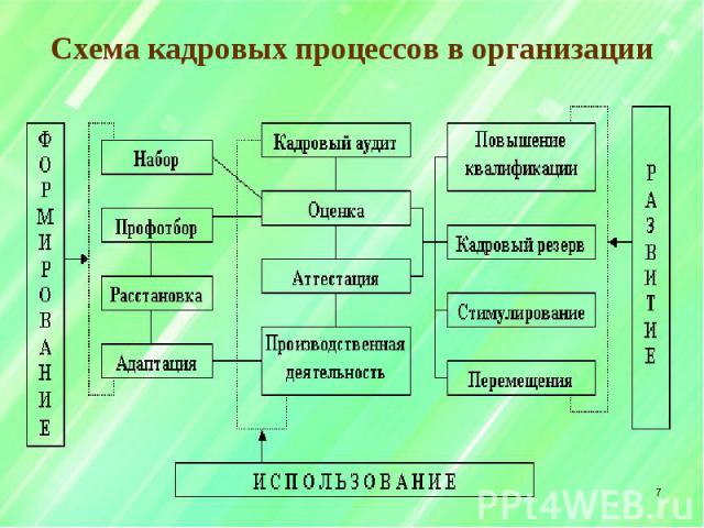 Схема кадровых процессов в организации *
