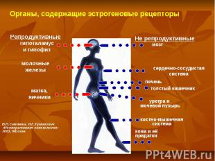 Органы, содержащие эстрогеновые рецепторы Репродуктивные Не репродуктивные гипот