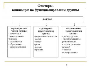 Факторы,влияющие на функционирование группы