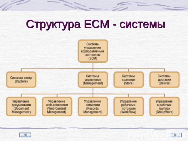 Структура ECM - системы