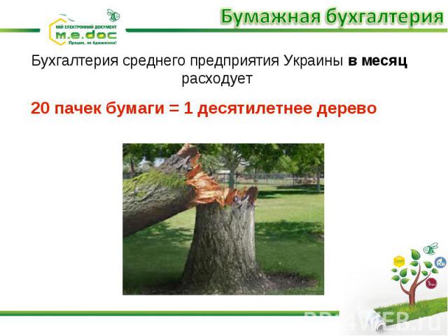Бухгалтерия среднего предприятия Украины в месяц расходует 20 пачек бумаги = 1 десятилетнее дерево