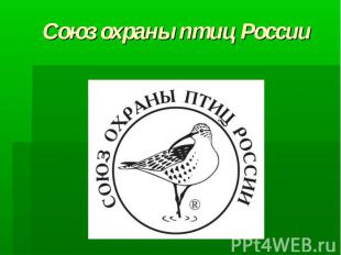 Союз охраны птиц России