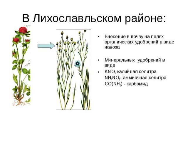 В Лихославльском районе: Внесение в почву на полях органических удобрений в виде навоза Минеральных удобрений в виде KNO3-калийная селитра NH4NO3- аммиачная селитра CO(NH2) - карбамид