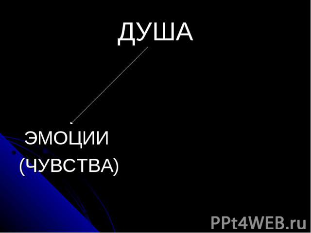 ДУША ЭМОЦИИ (ЧУВСТВА)