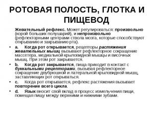 РОТОВАЯ ПОЛОСТЬ, ГЛОТКА И ПИЩЕВОД Жевательный рефлекс. Может регулироваться: про