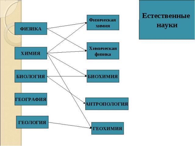 ФИЗИКА ХИМИЯ БИОЛОГИЯ ГЕОЛОГИЯ АНТРОПОЛОГИЯ ГЕОХИМИЯ Физическая химия Химическая физика БИОХИМИЯ ГЕОГРАФИЯ Естественные науки