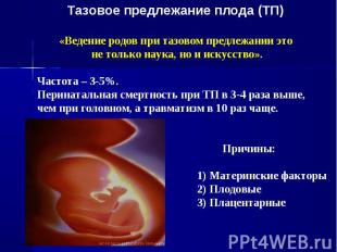 Тазовое предлежание плода (ТП) «Ведение родов при тазовом предлежании это не тол