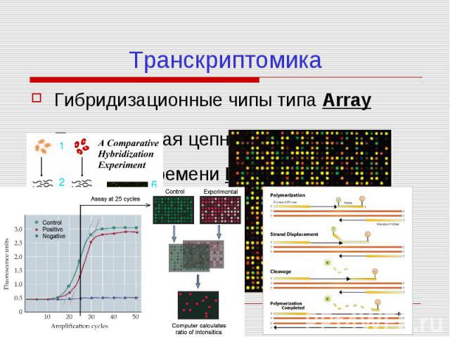Транскриптомика Гибридизационные чипы типа Array Полимеразная цепная реакция в реальном времени RT-PCR