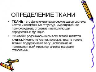 ОПРЕДЕЛЕНИЕ ТКАНИ ТКАНЬ - это филогенетически сложившаяся система клеток и некле