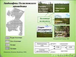 Водно-болотные Лесо-болотные Лесные Луговые [Мартынова, Шипкова, Михайлова, 2008