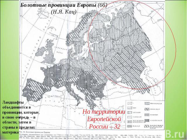 Болотные провинции Европы (66) (Н.Я. Кац) На территории Европейской России – 32 Ландшафты объединяются в провинции, которые, в свою очередь – в области, затем в страны в пределах материка