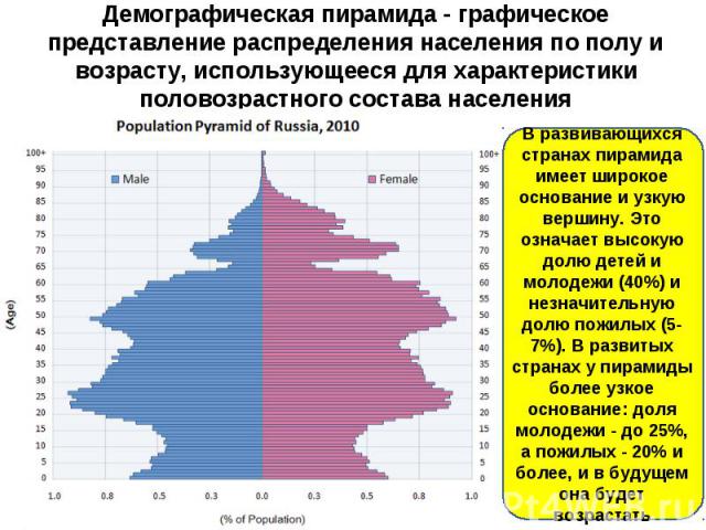 Демографическая пирамида - графическое представление распределения населения по полу и возрасту, использующееся для характеристики половозрастного состава населения В развивающихся странах пирамида имеет широкое основание и узкую вершину. Это означа…