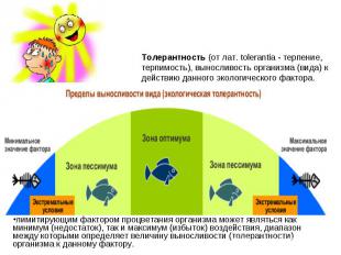 Толерантность (от лат. tolerantia - терпение, терпимость), выносливость организм