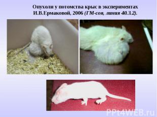 Опухоли у потомства крыс в экспериментах И.В.Ермаковой, 2006 (ГМ-соя, линия 40.3