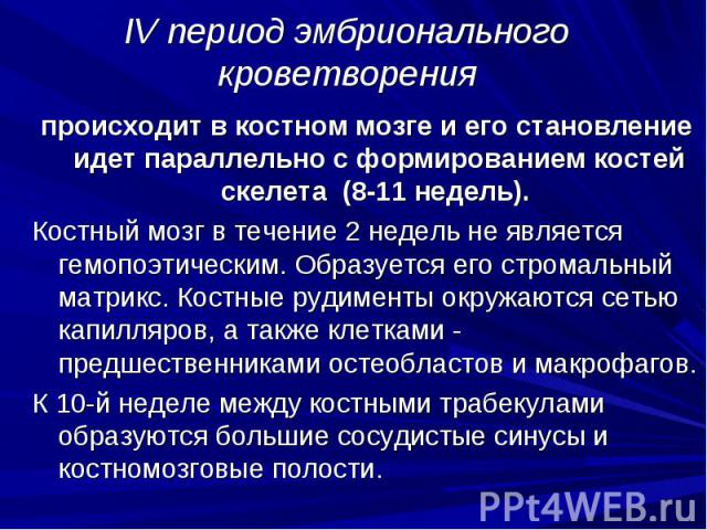 IV период эмбрионального кроветворения происходит в костном мозге и его становление идет параллельно с формированием костей скелета (8-11 недель). Костный мозг в течение 2 недель не является гемопоэтическим. Образуется его стромальный матрикс. Костн…