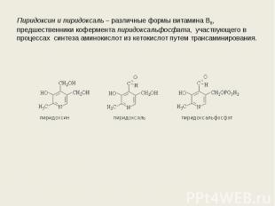 Пиридоксин и пиридоксаль – различные формы витамина B6, предшественники кофермен