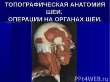 Топографическая анатомия шеи. Операции на органах шеи