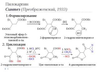 * Формилирование 2. Циклизация Пилокарпин Синтез (Преображенский, 1933)