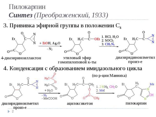 * 3. Прививка эфирной группы в положении C4 4. Конденсация с образованием имидазольного цикла Пилокарпин Синтез (Преображенский, 1933)