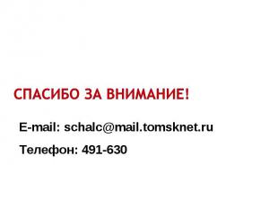 E-mail: schalc@mail.tomsknet.ru Телефон: 491-630