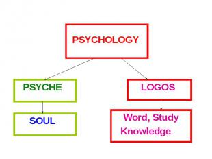PSYCHE LOGOS PSYCHOLOGY SOUL Word, StudyKnowledge