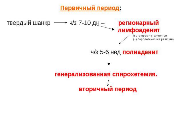 Первичный период: твердый шанкр ч/з 7-10 дн – регионарный лимфоаденит (в это время становятся (+) серологические реакции) ч/з 5-6 нед полиаденит генерализованная спирохетемия. вторичный период