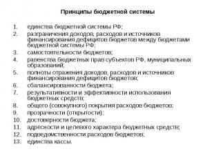 Принципы бюджетной системы единства бюджетной системы РФ; разграничения доходов,