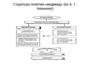 Структура понятия «индивид» (по Б. Г. Ананьеву)
