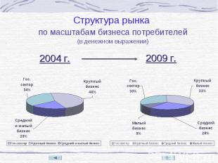 2004 г. 2009 г. Структура рынка по масштабам бизнеса потребителей (в денежном вы