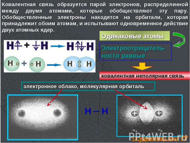 Ковалентная связь образуется парой электронов, распределенной между двумя атомами, которые обобществляют эту пару. Обобществленные электроны находятся на орбитали, которая принадлежит обоим атомам, и испытывают одновременное действие двух атомных яд…