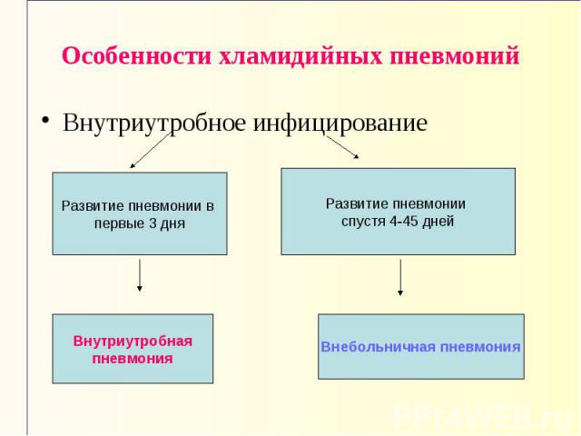 Развитие пневмонии в первые 3 дня Внутриутробная пневмония Развитие пневмонии спустя 4-45 дней Внебольничная пневмония Особенности хламидийных пневмоний Внутриутробное инфицирование