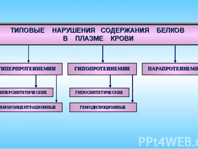 ТИПОВЫЕ НАРУШЕНИЯ СОДЕРЖАНИЯ БЕЛКОВ В ПЛАЗМЕ КРОВИ ГИПЕРПРОТЕИНЕМИИ ПАРАПРОТЕИНЕМИИ ГИПОПРОТЕИНЕМИИ ГИПЕРСИНТЕТИЧЕСКИЕ ГЕМОКОНЦЕНТРАЦИОННЫЕ ГИПОСИНТЕТИЧЕСКИЕ ГЕМОДИЛЮЦИОННЫЕ