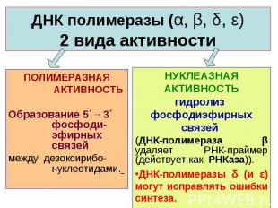 НУКЛЕАЗНАЯ АКТИВНОСТЬ гидролиз фосфодиэфирных связей (ДНК-полимераза β удаляет Р