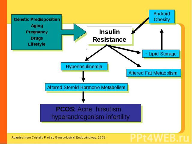 Genetic PredispositionAgingPregnancyDrugsLifestyle Insulin Resistance Hyperinsulinemia Altered Fat Metabolism Altered Steroid Hormone Metabolism PCOS: Acne, hirsutism, hyperandrogenism infertility Adapted from Cristello F et al, Gynecological Endocr…
