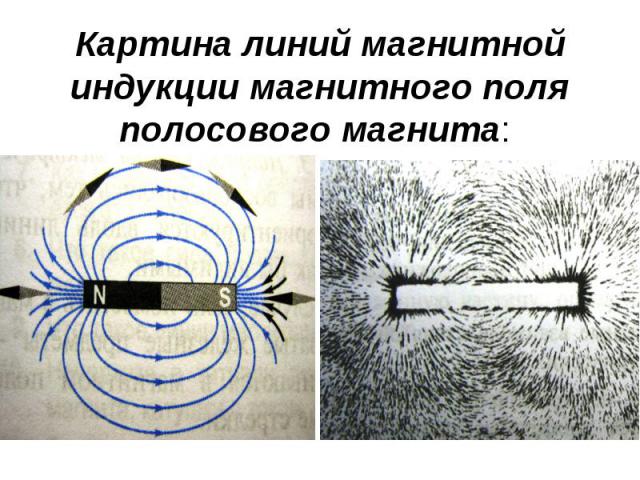 Картина линий магнитной индукции магнитного поля полосового магнита: