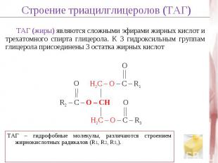 R – COOH + HS-KoA + АТФ 1-й этап - Активация жирных кислот R – CO – S-KoA + АМФ
