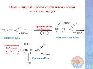 Синтез пальмитиновой кислоты – SH – S – C – CH = CН – CH3 O Кротонил - Е Реакция