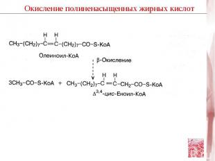 Глюкоза Н2С – ОН | С = О | Н2С – О – РО3Іˉ Дигидрокси- ацетонфосфат NADH + H+ NA