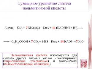 Суммарное уравнение синтеза пальмитиновой кислотыАцетил - КоА + 7 Малонил – КоА
