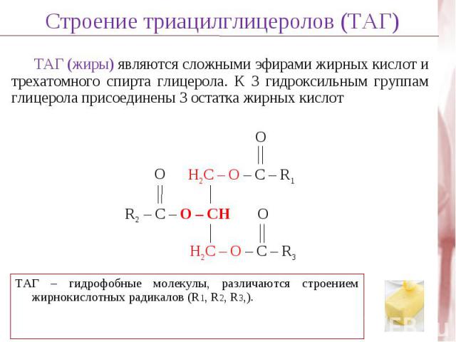 R – COOH + HS-KoA + АТФ 1-й этап - Активация жирных кислот R – CO – S-KoA + АМФ + PPi Жирная кислота Ацил-КоА-синтаза Ацил-КоА