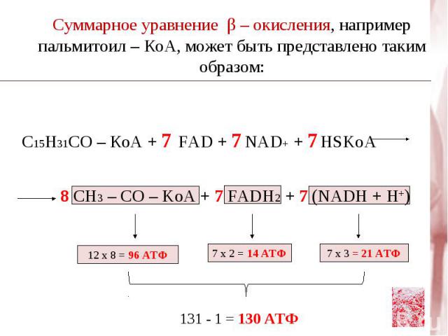 Синтез пальмитиновой кислоты Реакция восстановления NADPH + H+ Ацетоацетил - Е – SH – S – C – CH2 – CН – CH3 OН O β – Гидроксибутирил - Е – SH – S – C – CH2 – C – CH3 O O NADP+ 3 Синтез пальмитиновой кислоты Пентозофосфатный путь Малик - фермент