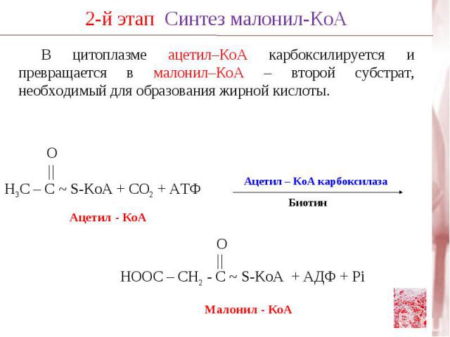 В цитоплазме ацетил–КоА карбоксилируется и превращается в малонил–КоА – второй субстрат, необходимый для образования жирной кислоты. Н3С – С ~ S-KoA + CO2 + ATФАцетил – КоА карбоксилазаНООС – СН2 - С ~ S-KoA + АДФ + Рi