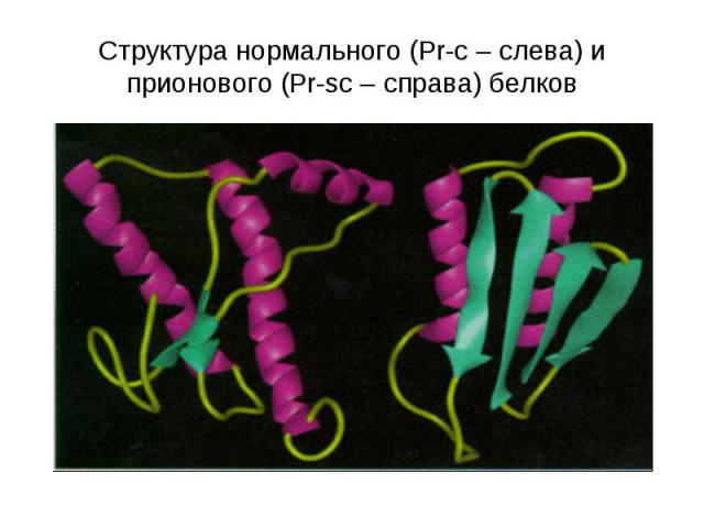 Структура нормального (Pr-c – слева) и прионового (Pr-sc – справа) белков